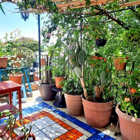 La Terraza Del Pochote Oaxaca Kültér fotó