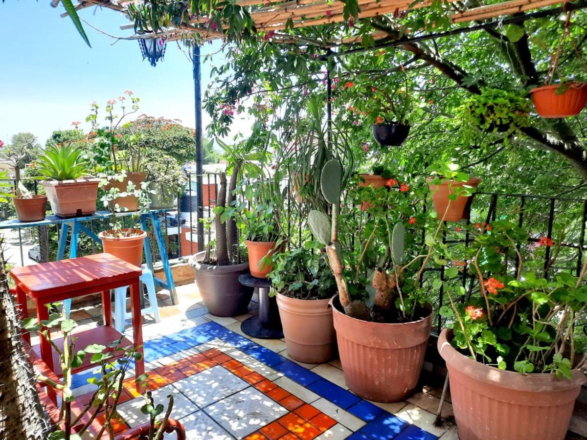 La Terraza Del Pochote Oaxaca Kültér fotó